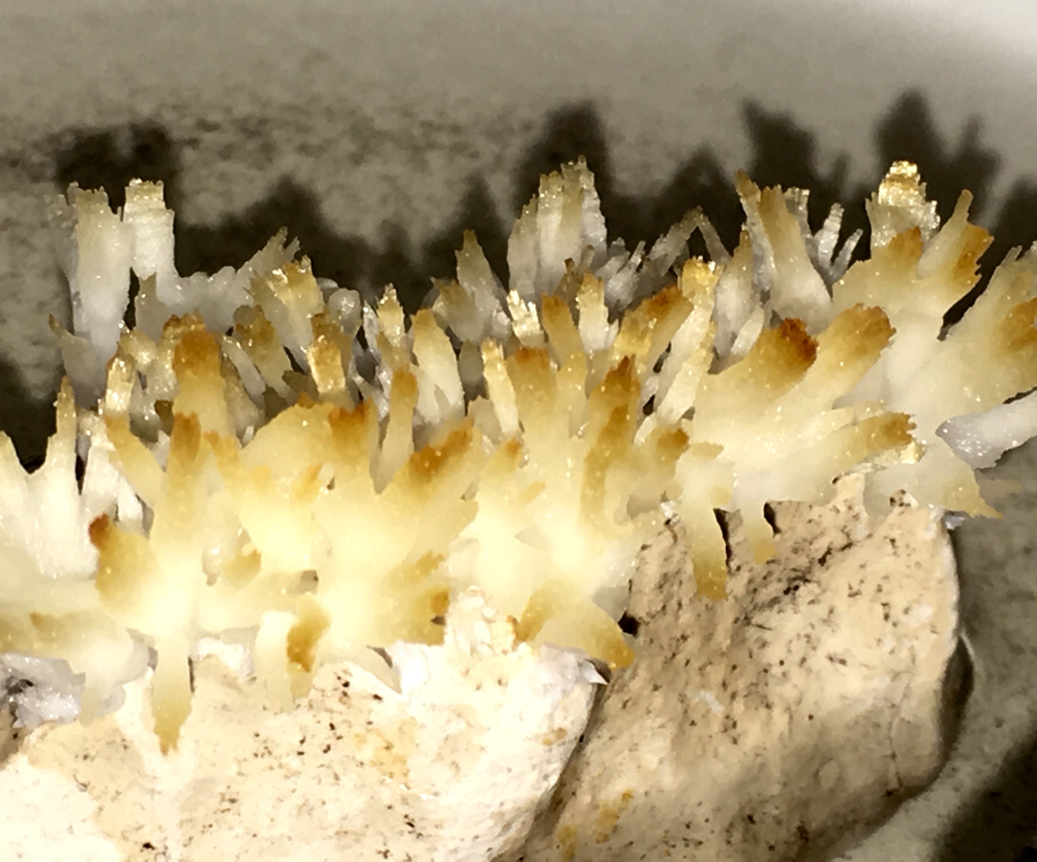 Grow Miniature Coral From Calcium Acetate