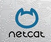 Netcat in Python