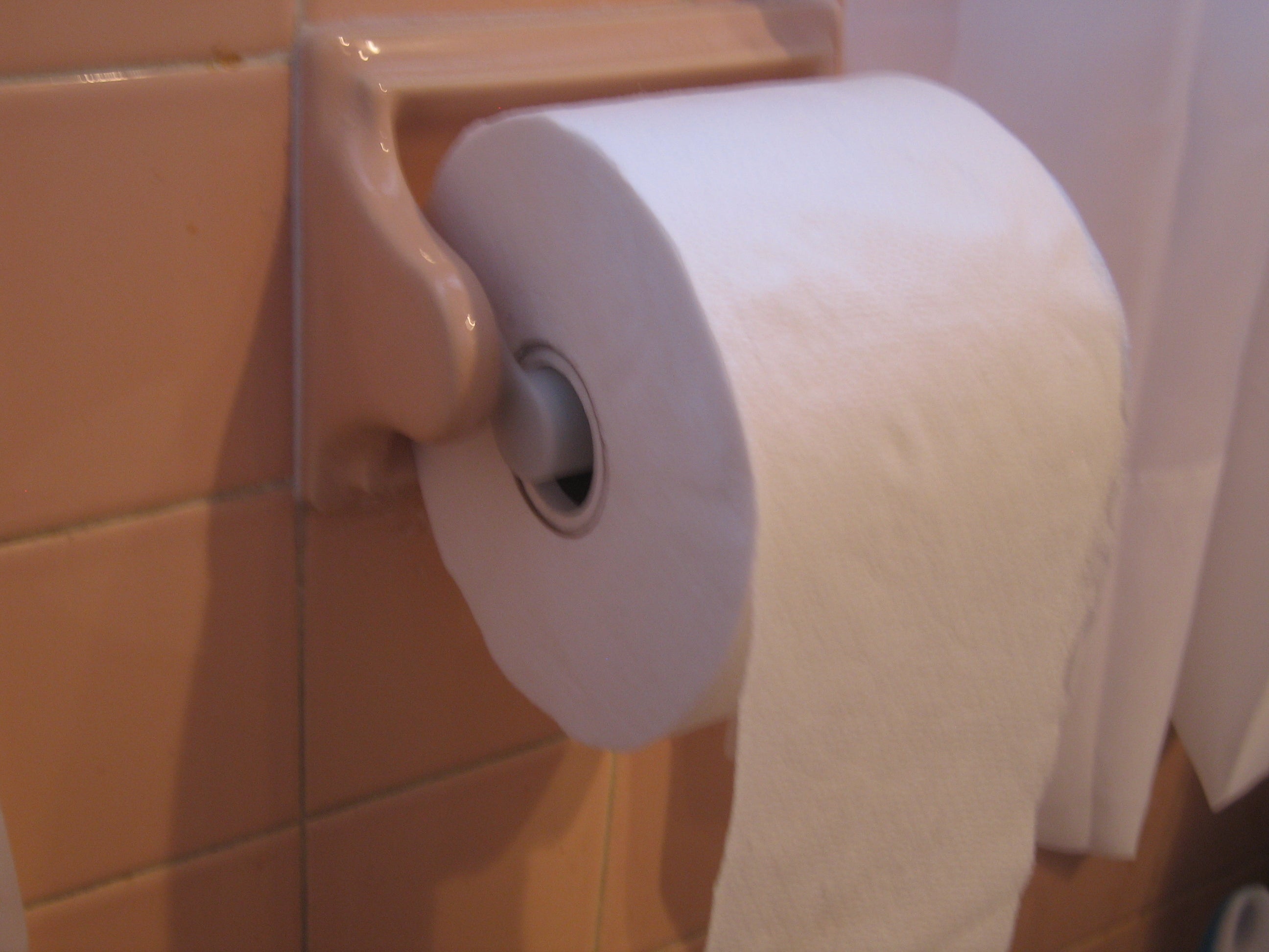 Toilet Paper Core Protector and EZ-Roller 