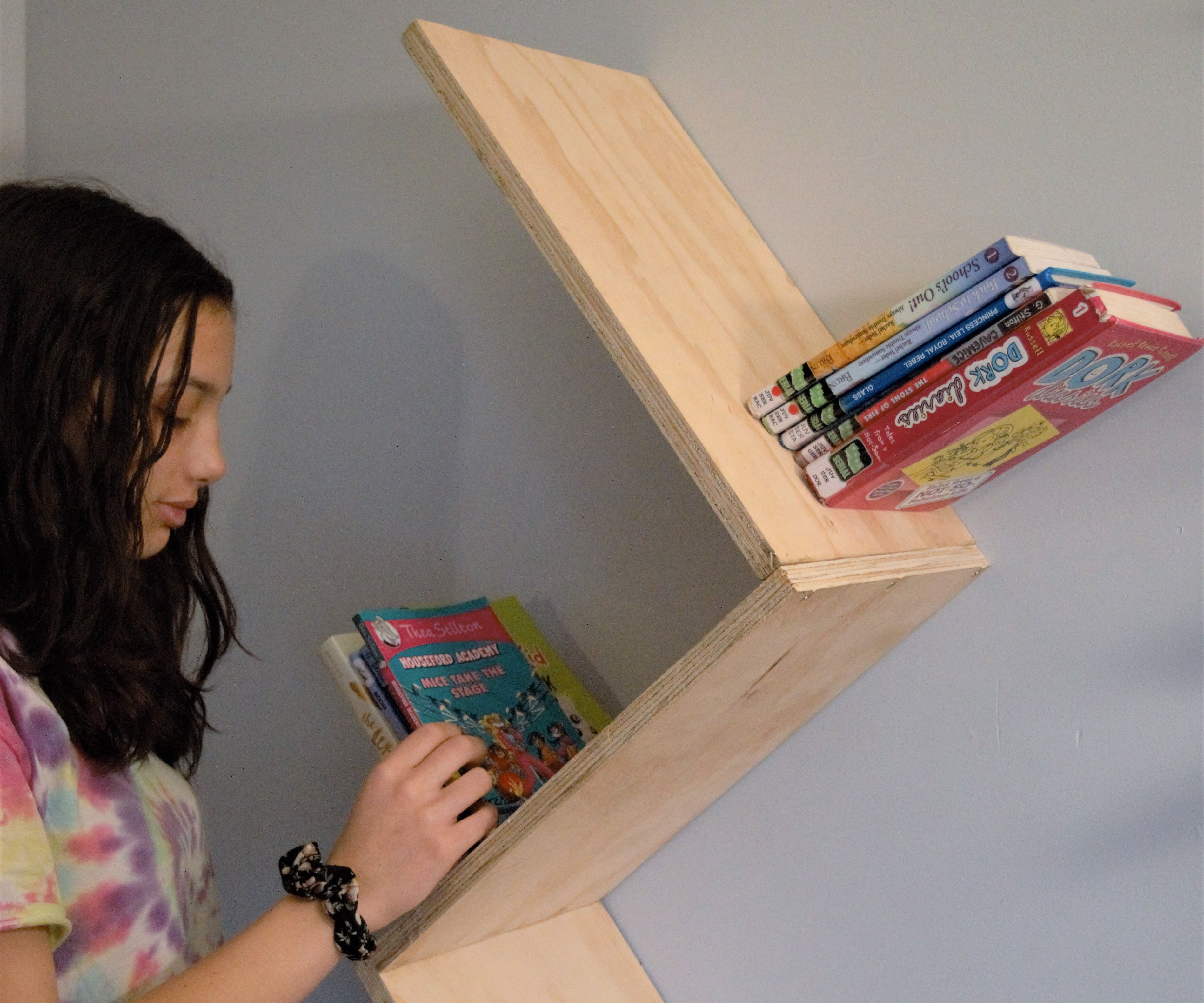 The Impossible Bookshelf