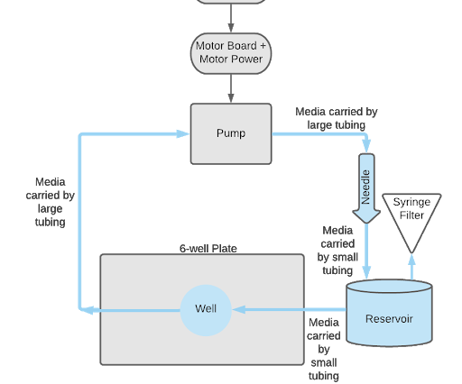 Peristaltic Pump and Perfusion Bioreactor