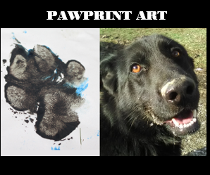 Pawprint Print With Paint