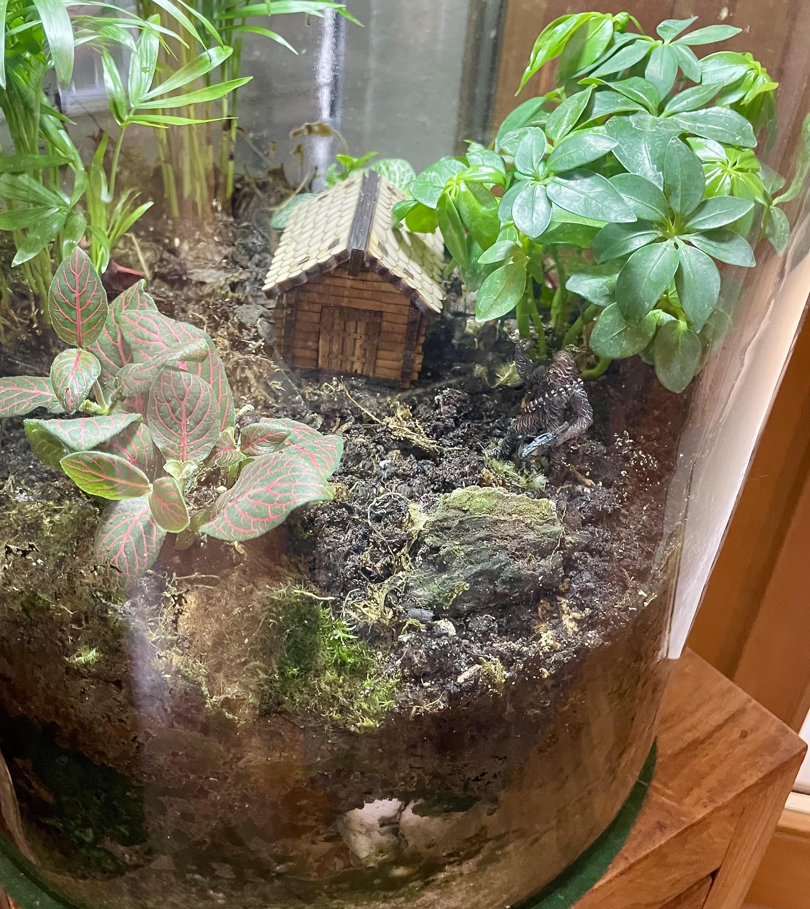 Laser Cut Woodland Cabin Hut for Terrarium