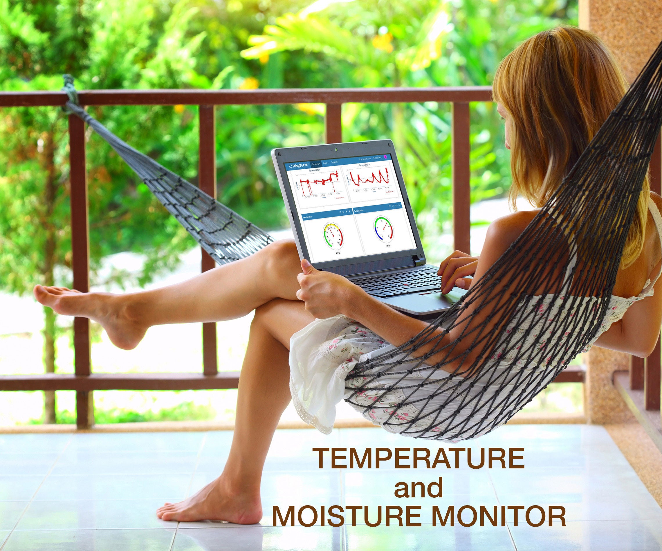 Temperature & Moisture Monitor