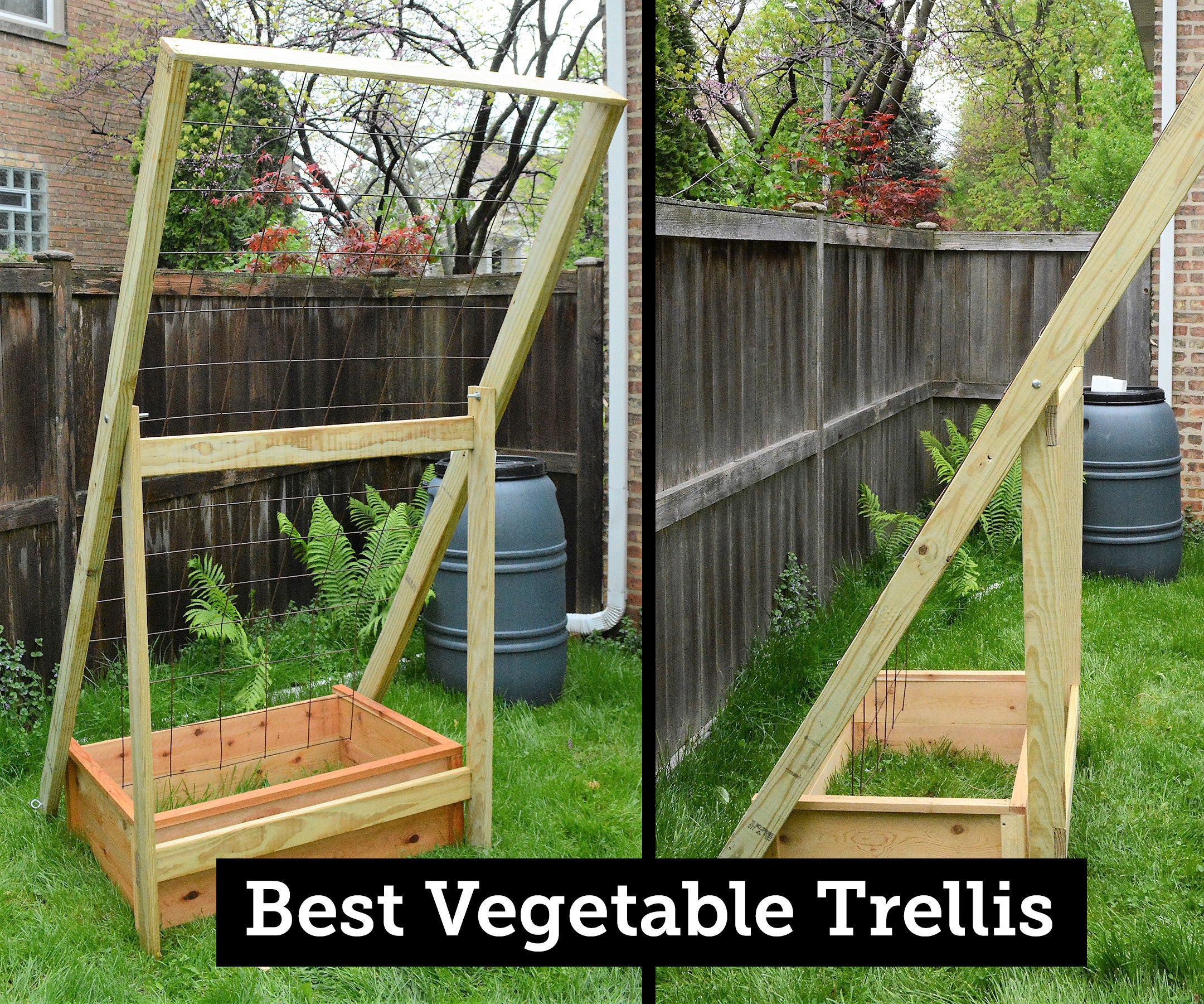 My Best Vegetable Trellis: Durable, Collapsible, Flexible