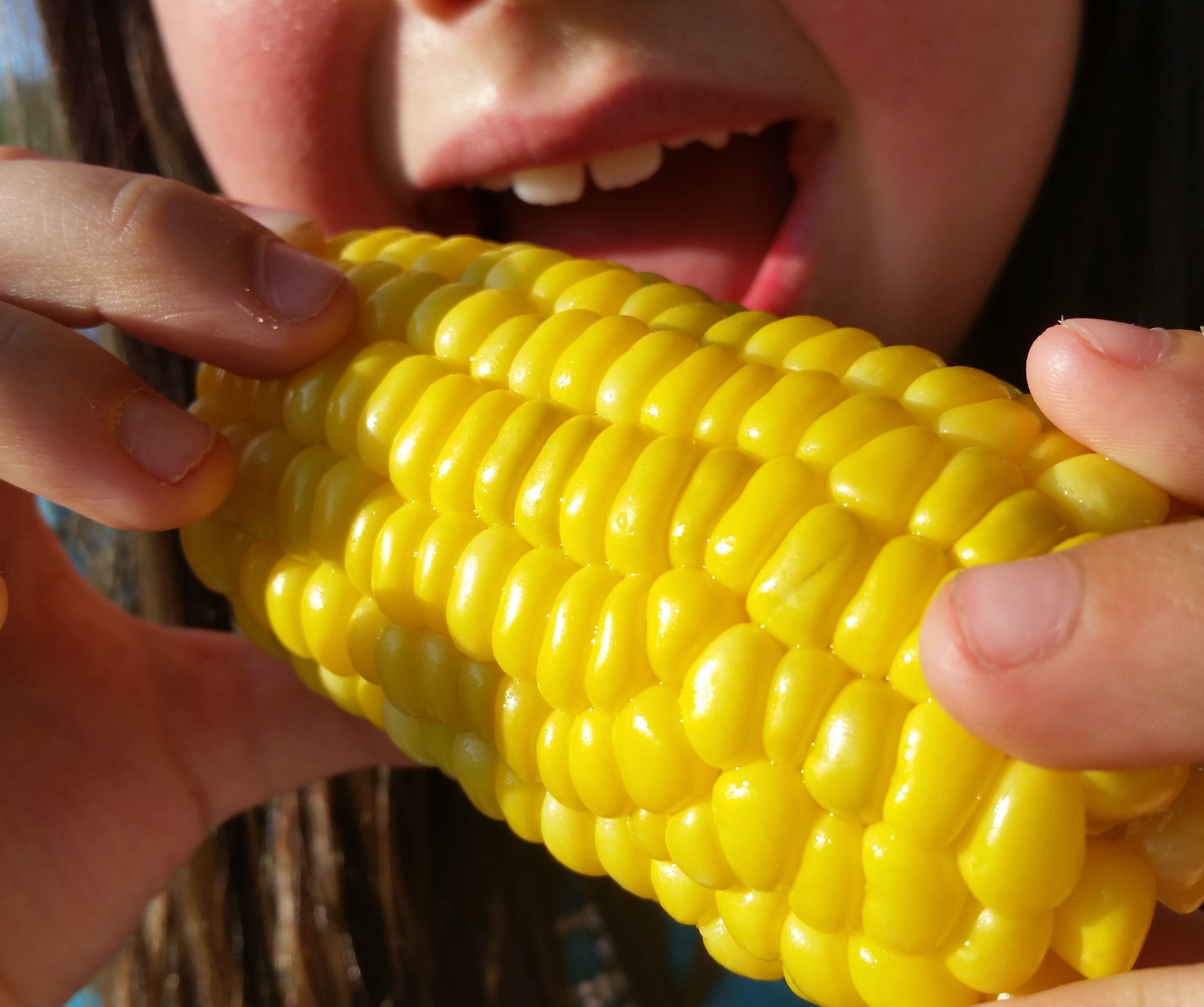 Butter Boiled Corn