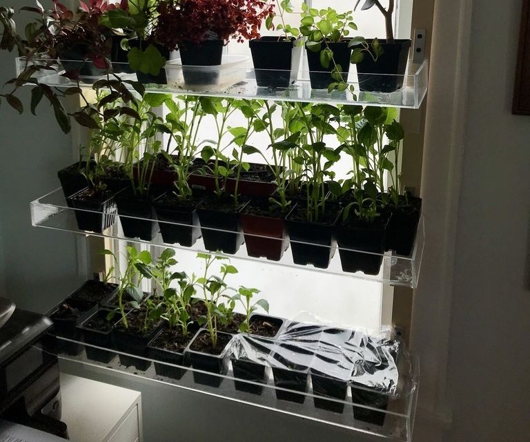 Convertible Seedling Nursery With Removable Trays