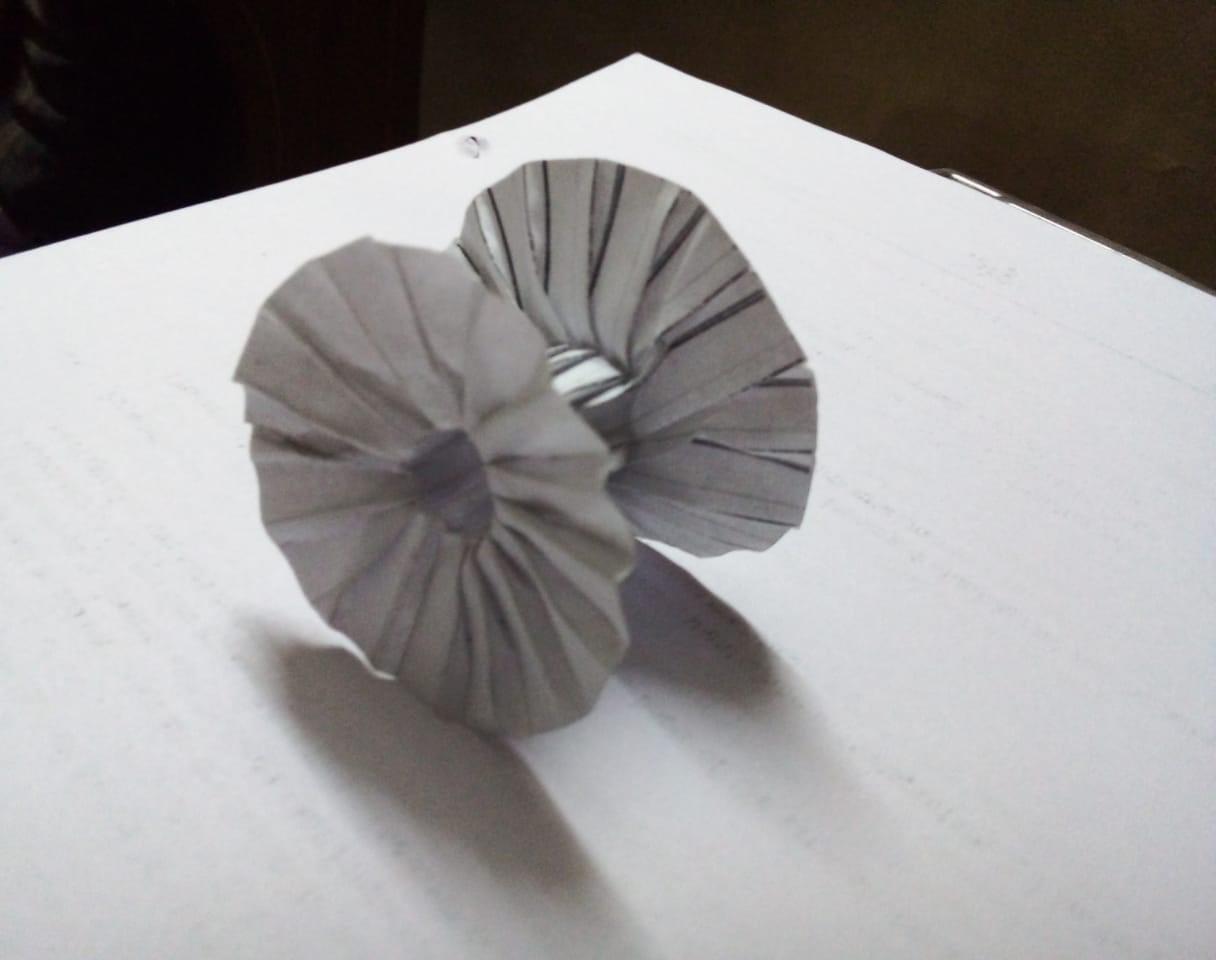 Origami Black Hole