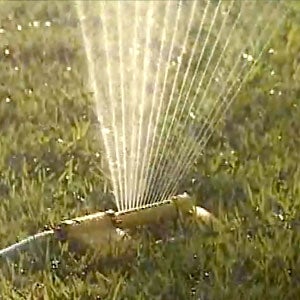 Hot Summer Lawn Watering