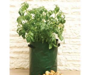 How to Grow Seed Potatoes in a Potato Bag.