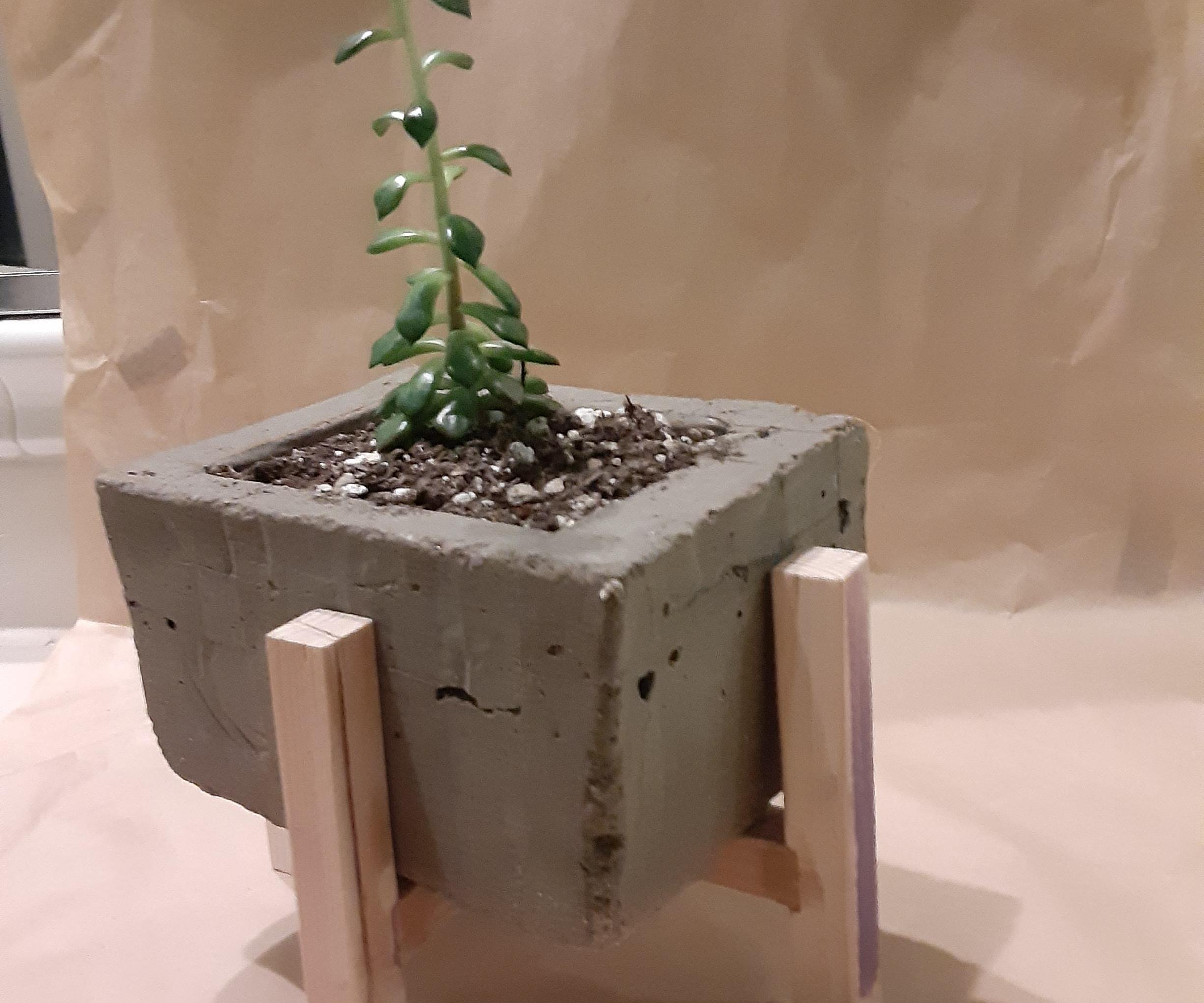 Concrete Planter ( on a Budget)