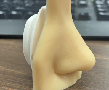 Prosthetic Nose