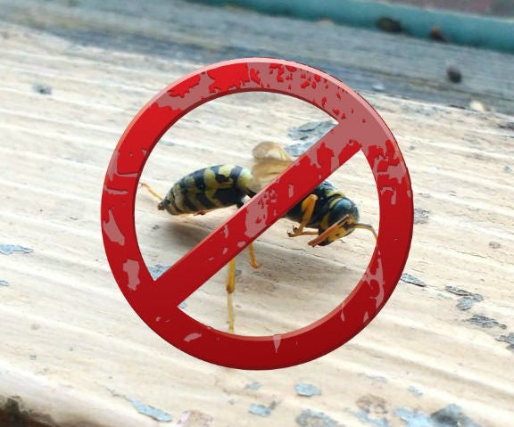 Prevent Bee & Wasp Stings (Easiest Life Hack!)