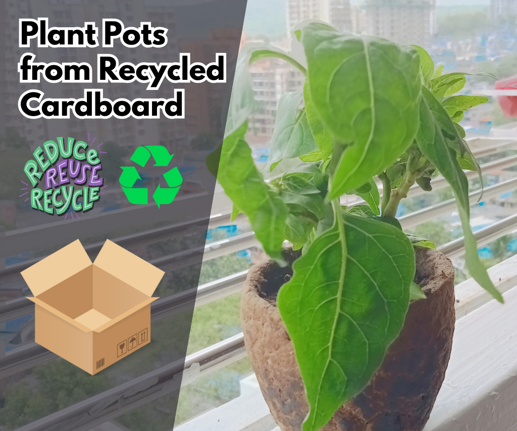 Cardboard to Plant Pots by Recycling Waste Paper Into Environment Friendly Product