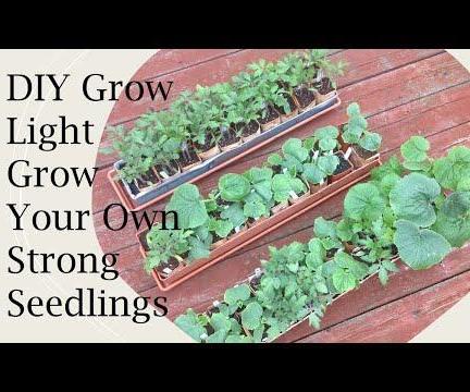 DIY Grow Light and Grow Strong Seedlings