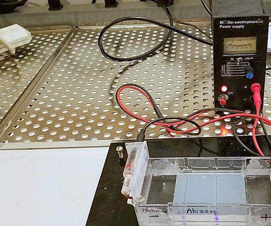 DIY Power Supply for Gel Electrophoresis