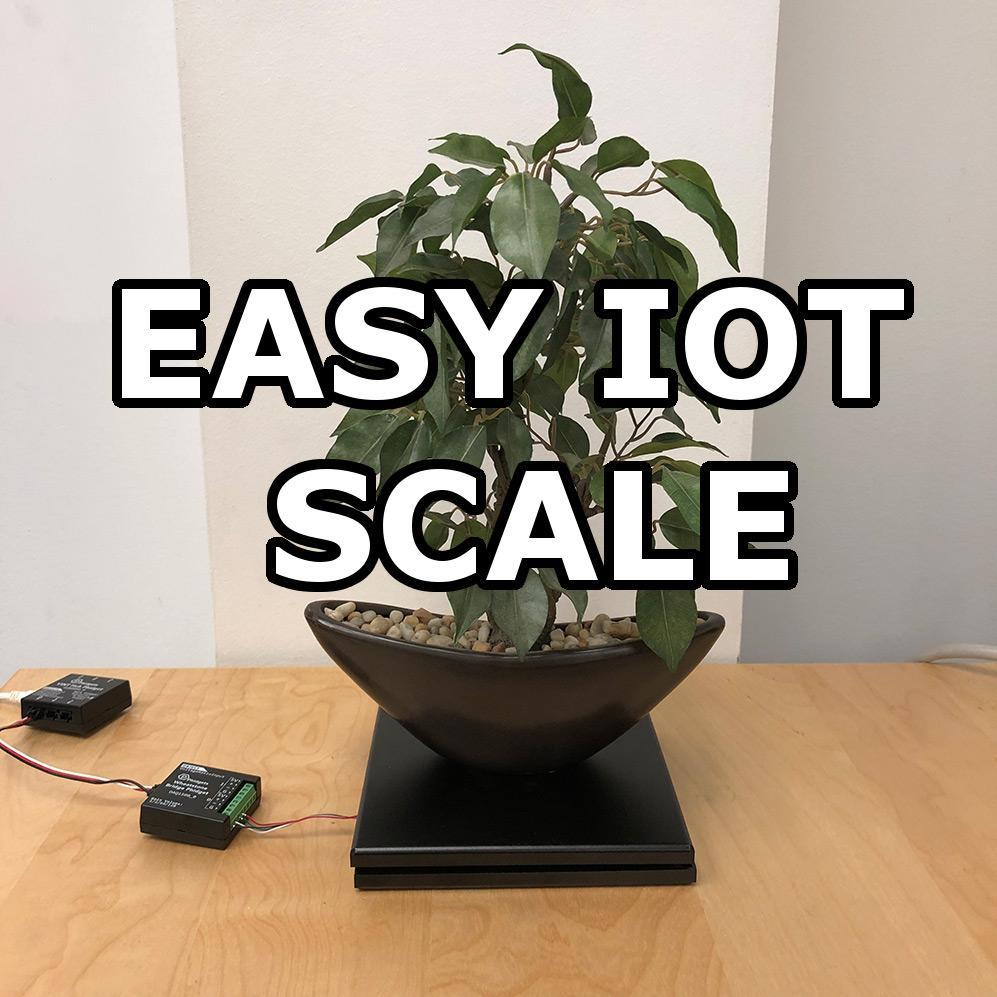 Easy IOT Scale