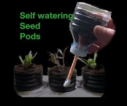 Self Watering Seed Pods