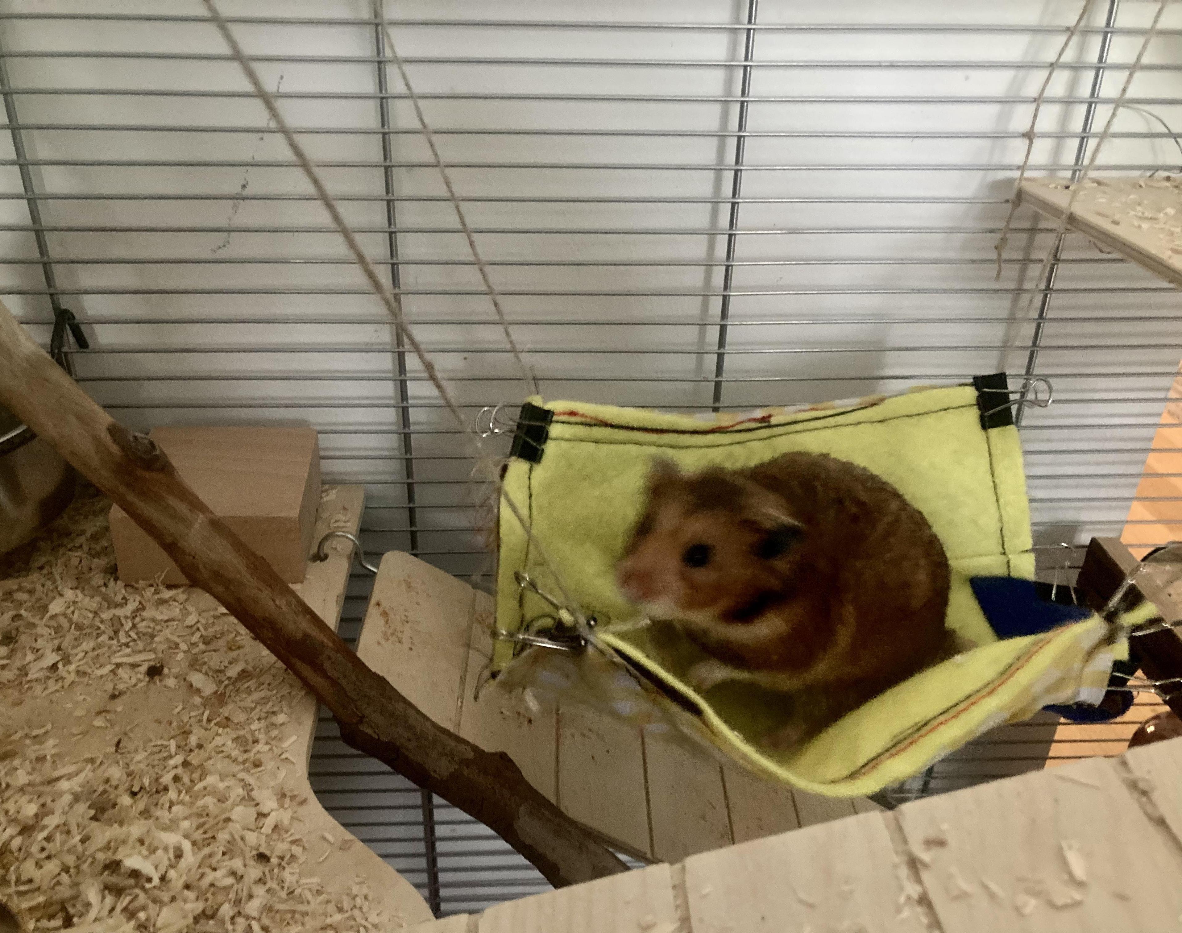How to Make a Hamster Playground — E-Textiles Tutorial