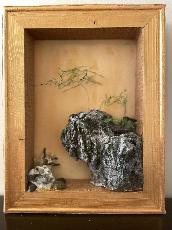 Rock Garden Frame Made of Concrete, Rock, Plants, and Other Used Materials