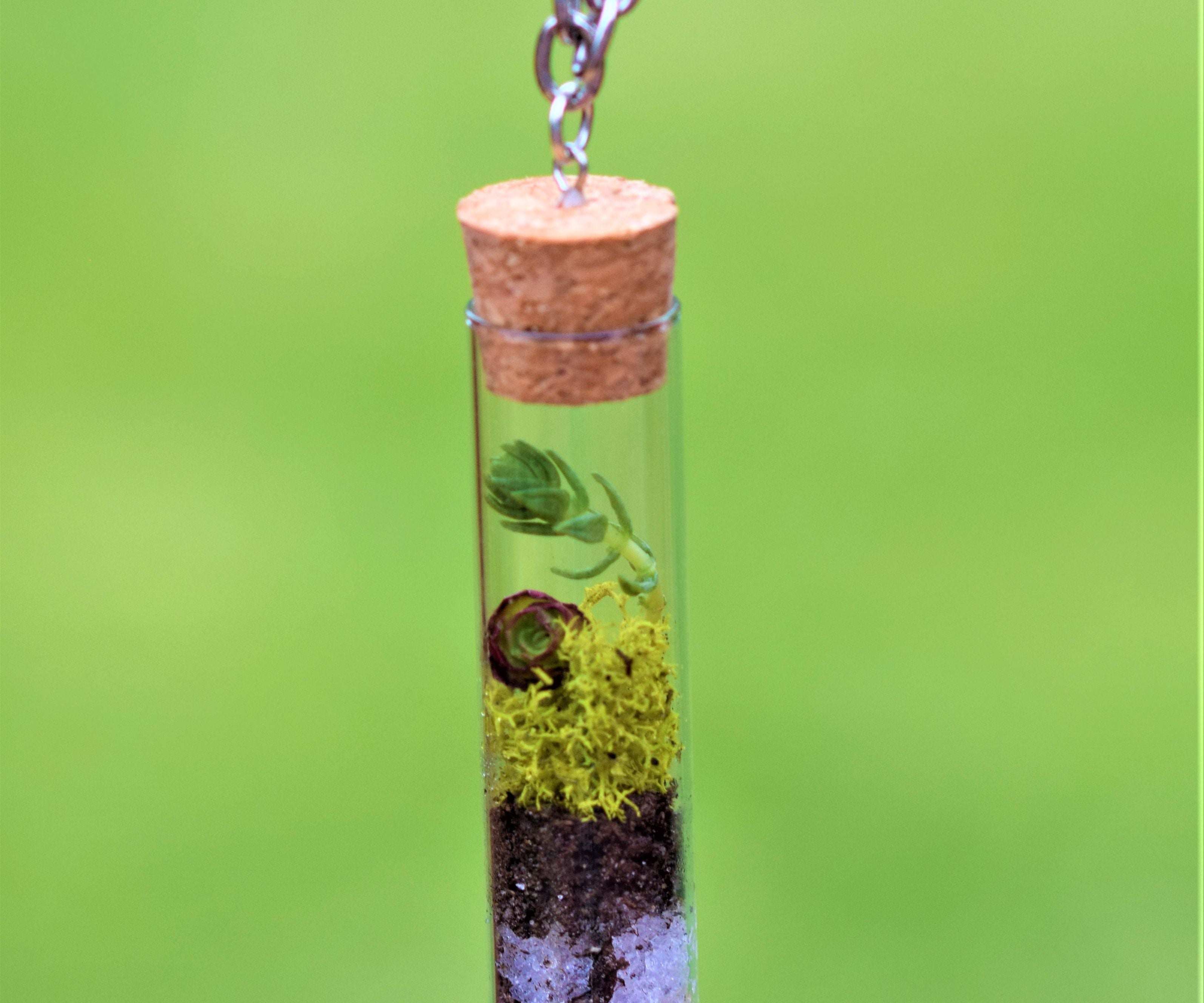 Succulent Terrarium Necklace