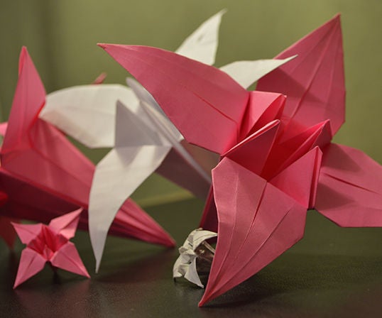 How to Make a Paper Lily