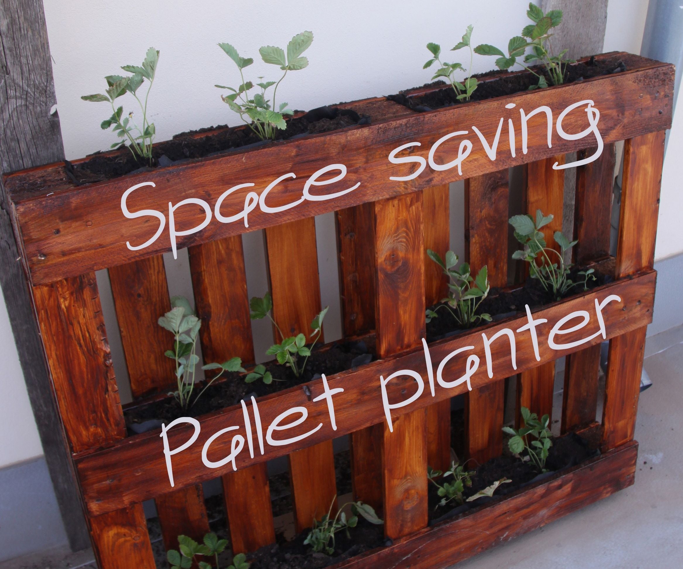 Space Saving Pallet Planter