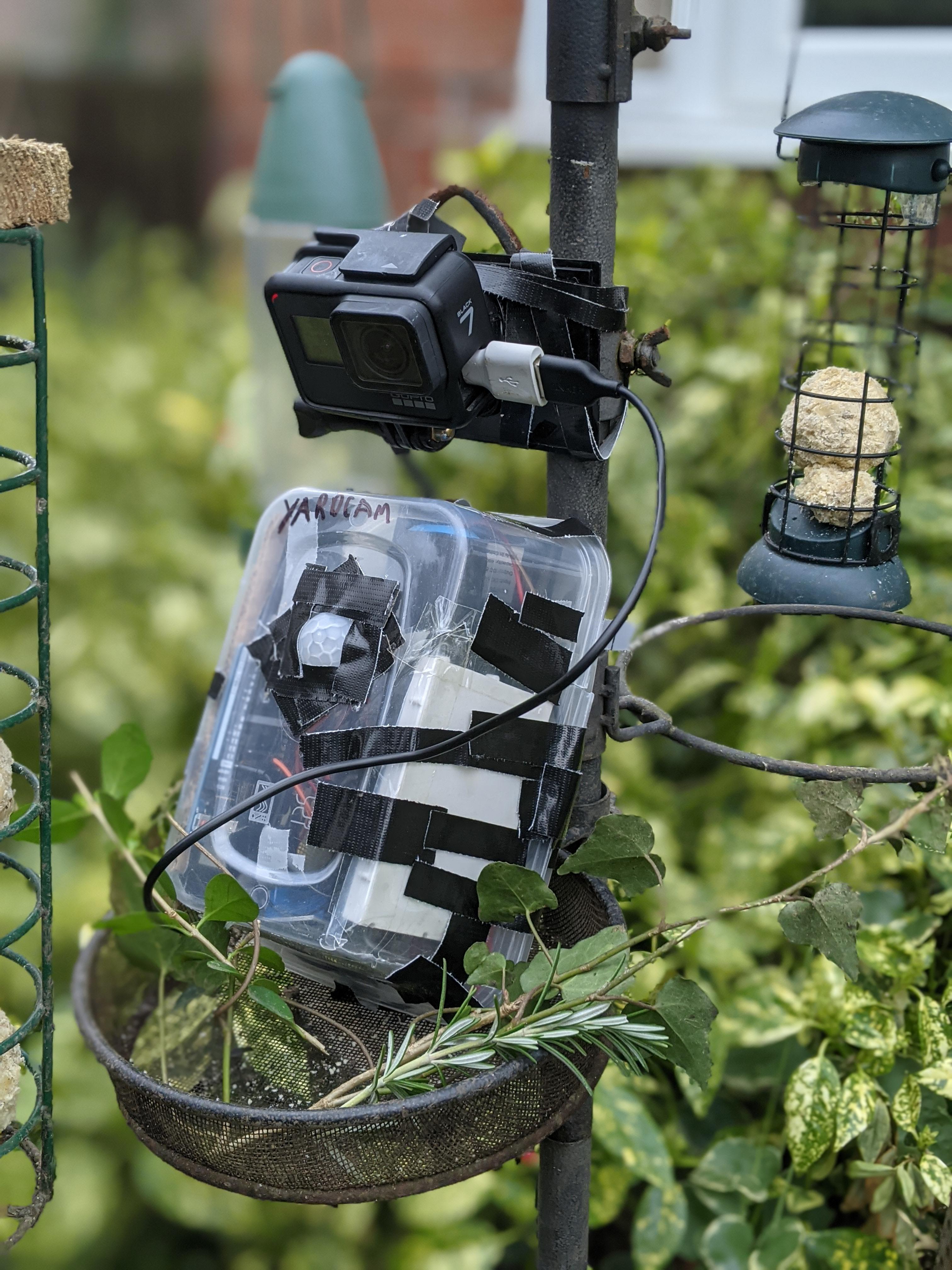 Go-Pro Bird Sensor