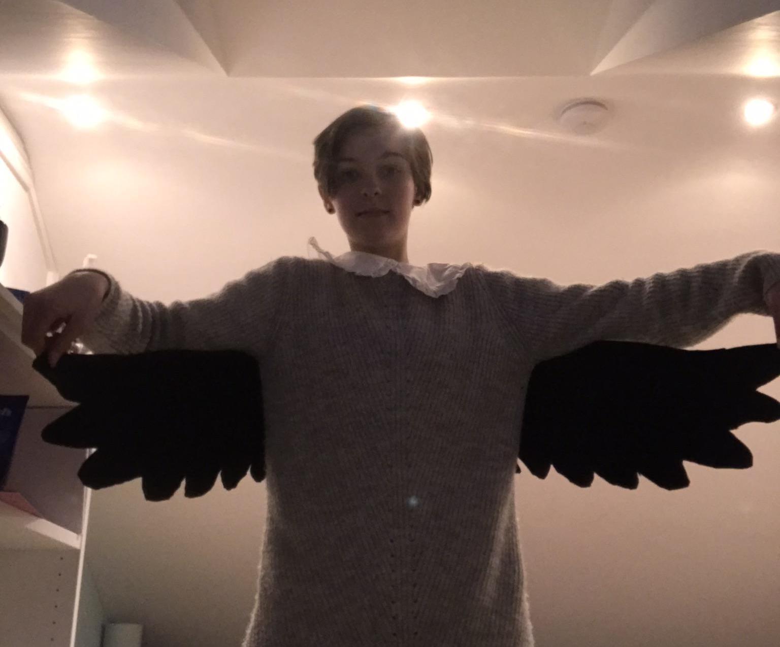 Easy Cosplay Wings