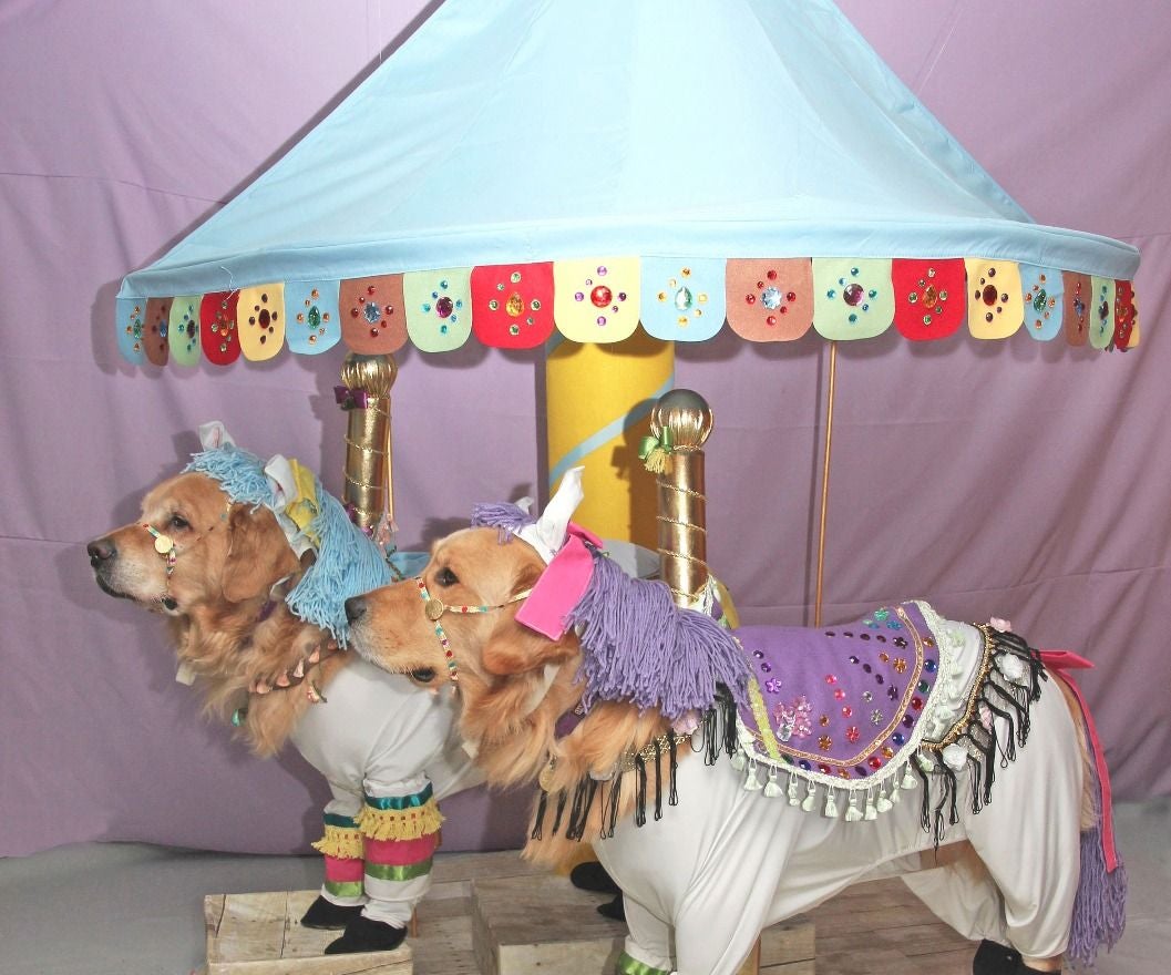 Phoenix and Gryphon the Carousel Horses