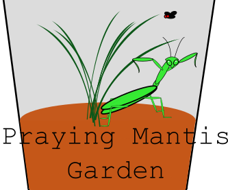 Praying Mantis Garden
