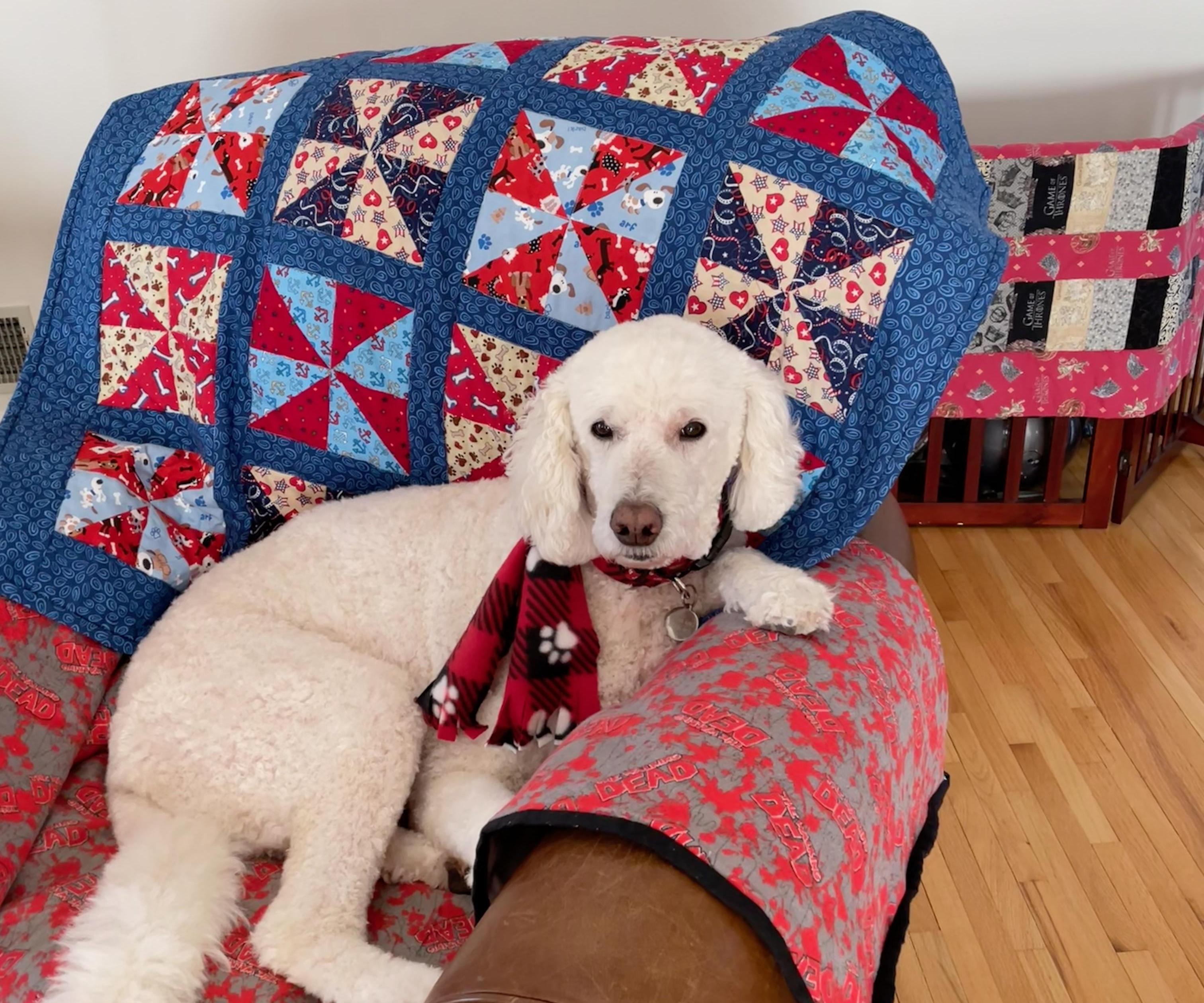 Dog Memory Quilt