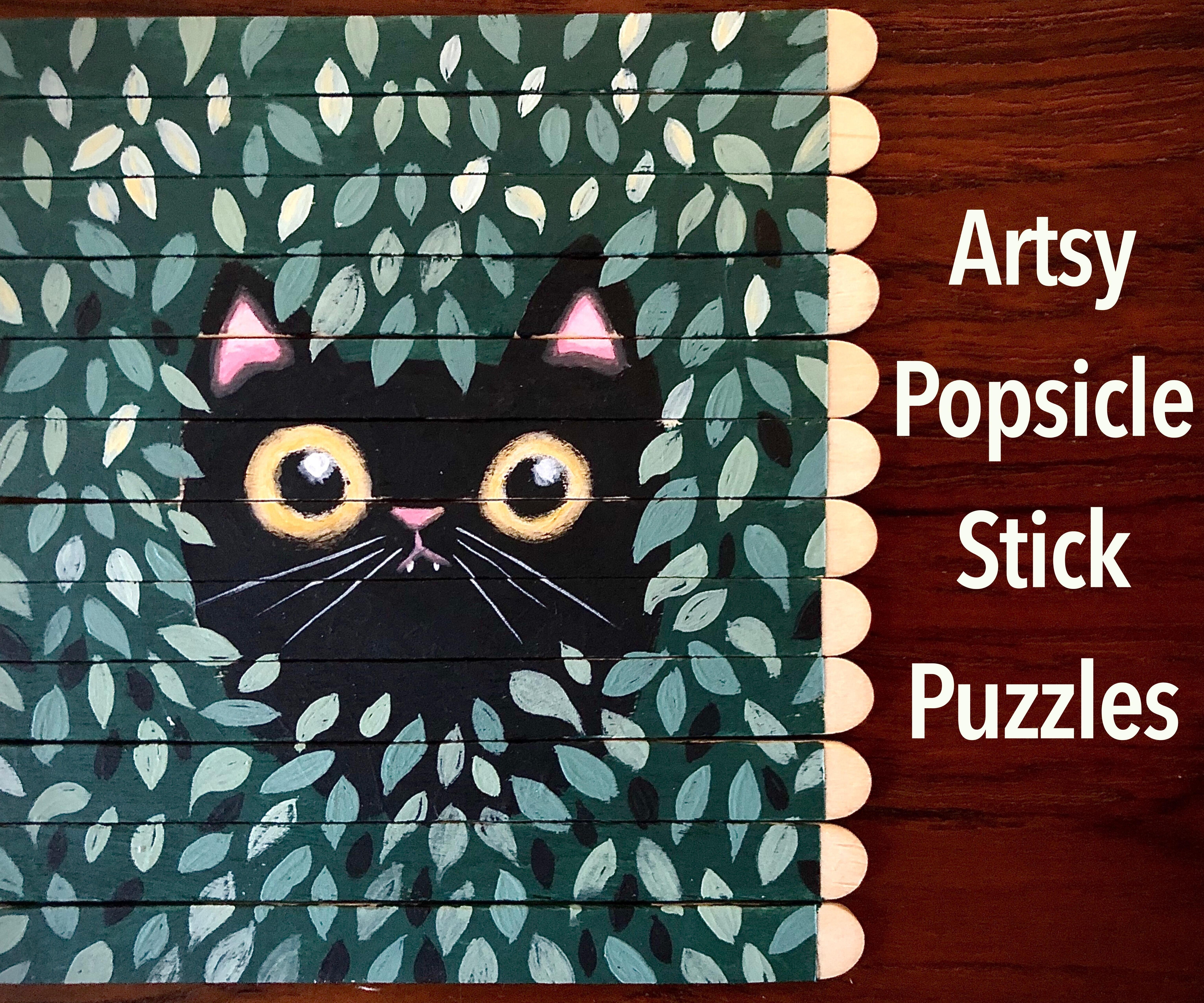 Artist's Popsicle Stick Puzzle