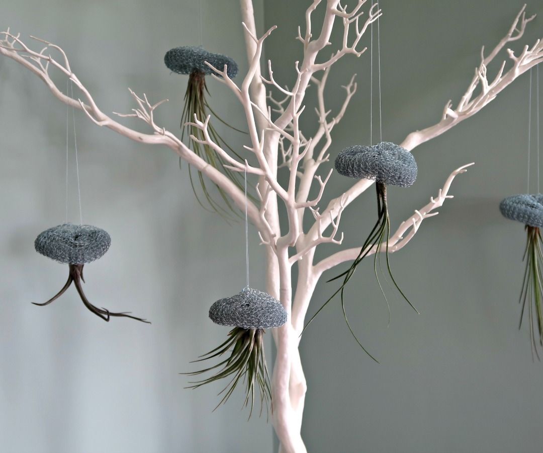 How to Make Adorable Air Plant and Wire Jellyfish 