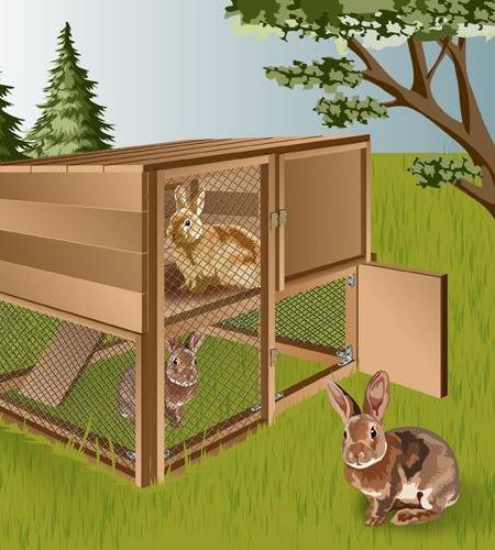 DIY Rabbit Hutch - Low Cost Make at Home