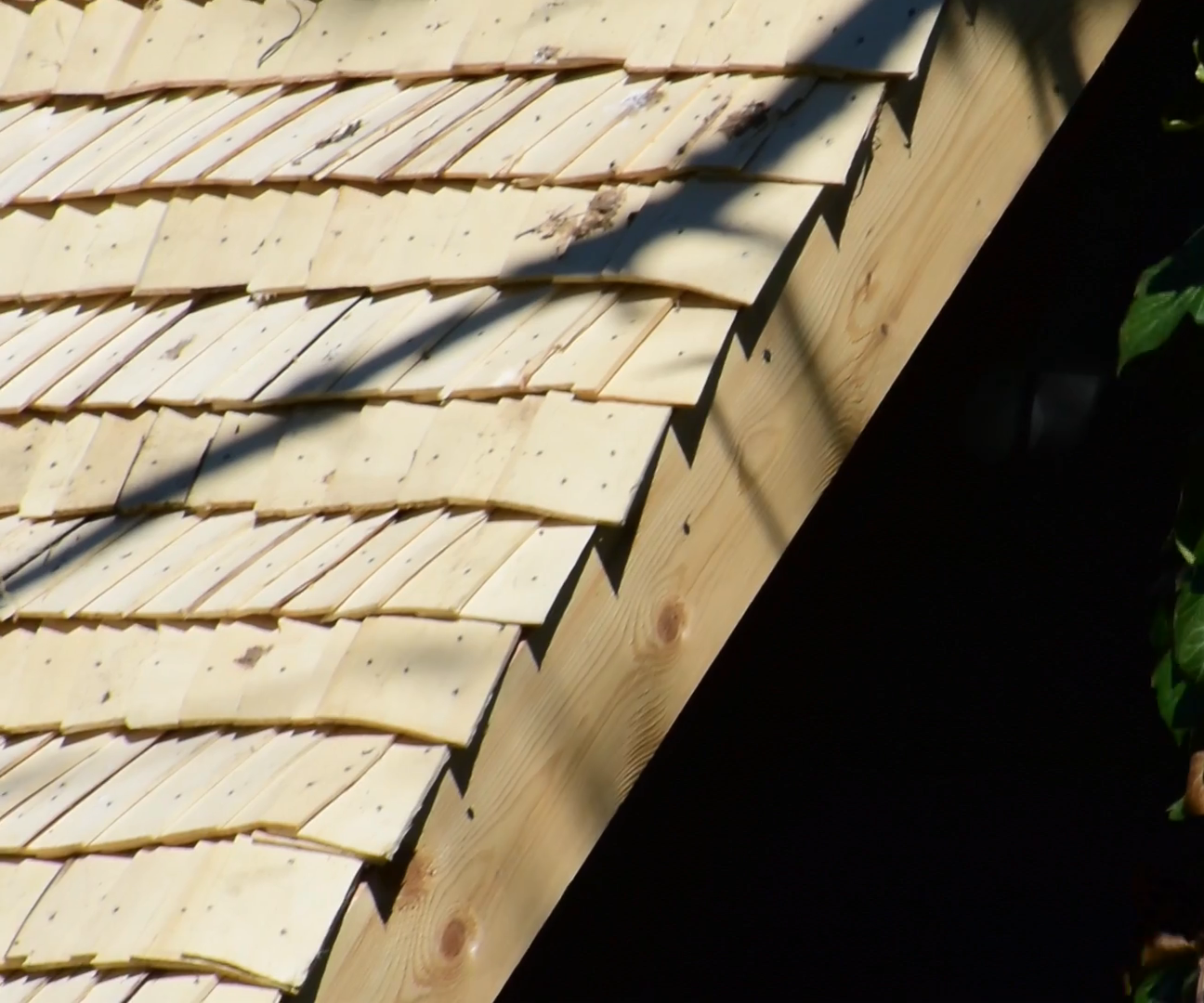 Wooden Roof From Aspen Shavings (chips, Not Boards)