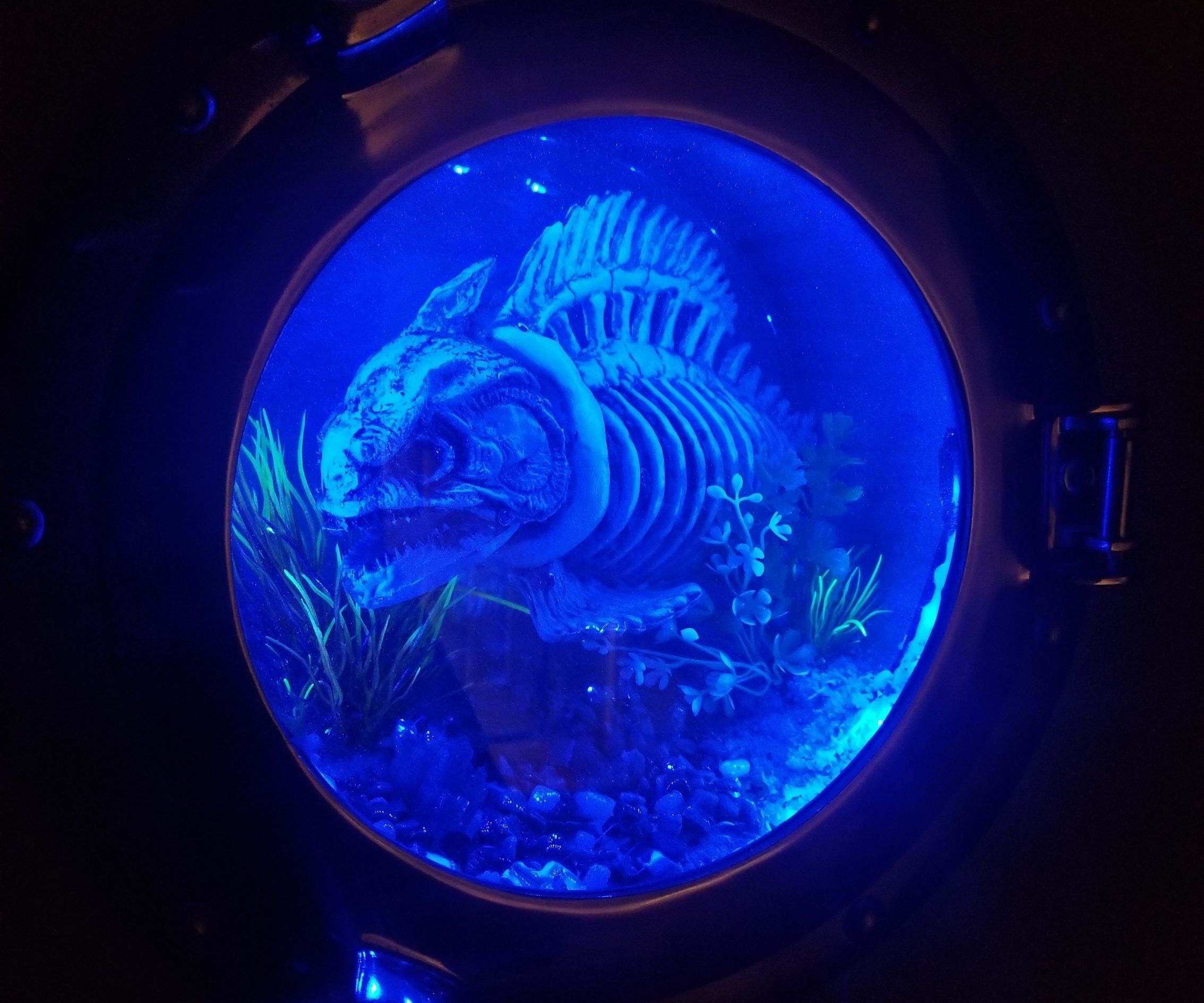 Piranha Porthole Light