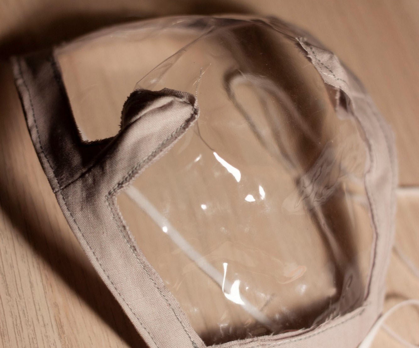 Transparent Face Mask