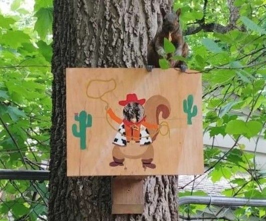 Photo and Feeding Booth for Squirrels