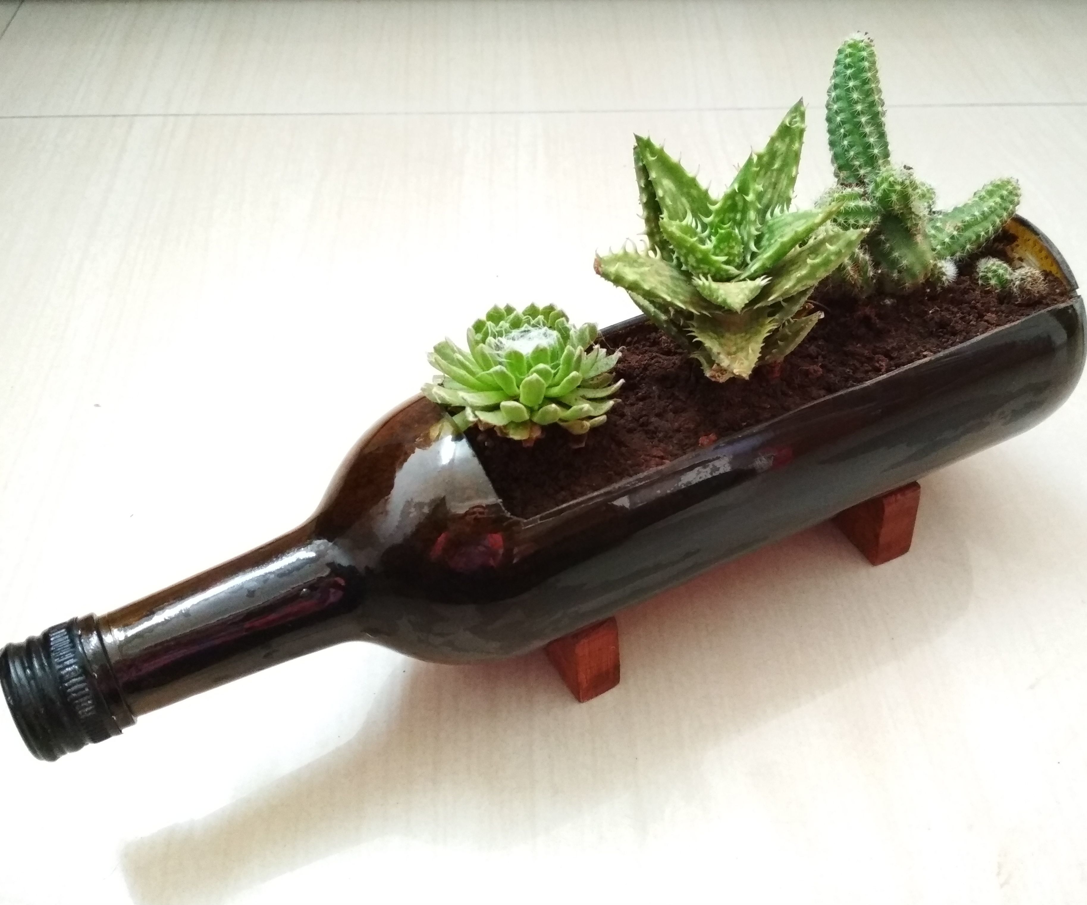 Recycle Glass Bottle Planter