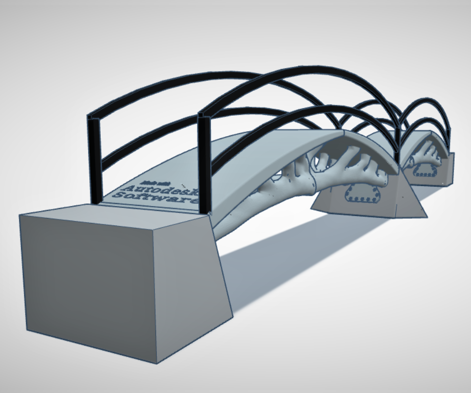 Double Arched DAR Pedestrian Bridge