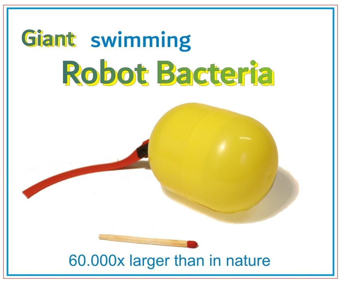 Giant Robot Bacteria