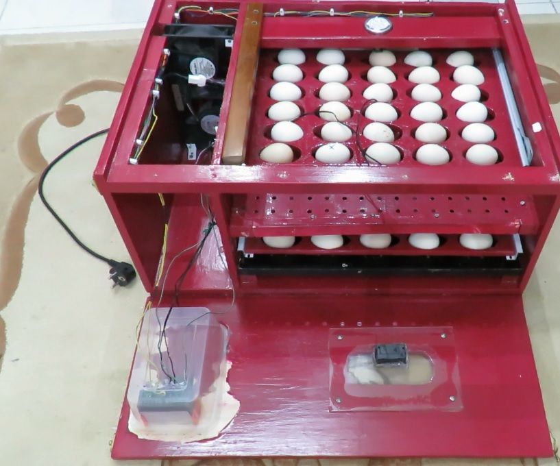DIY Home Made Incubator From a to Z