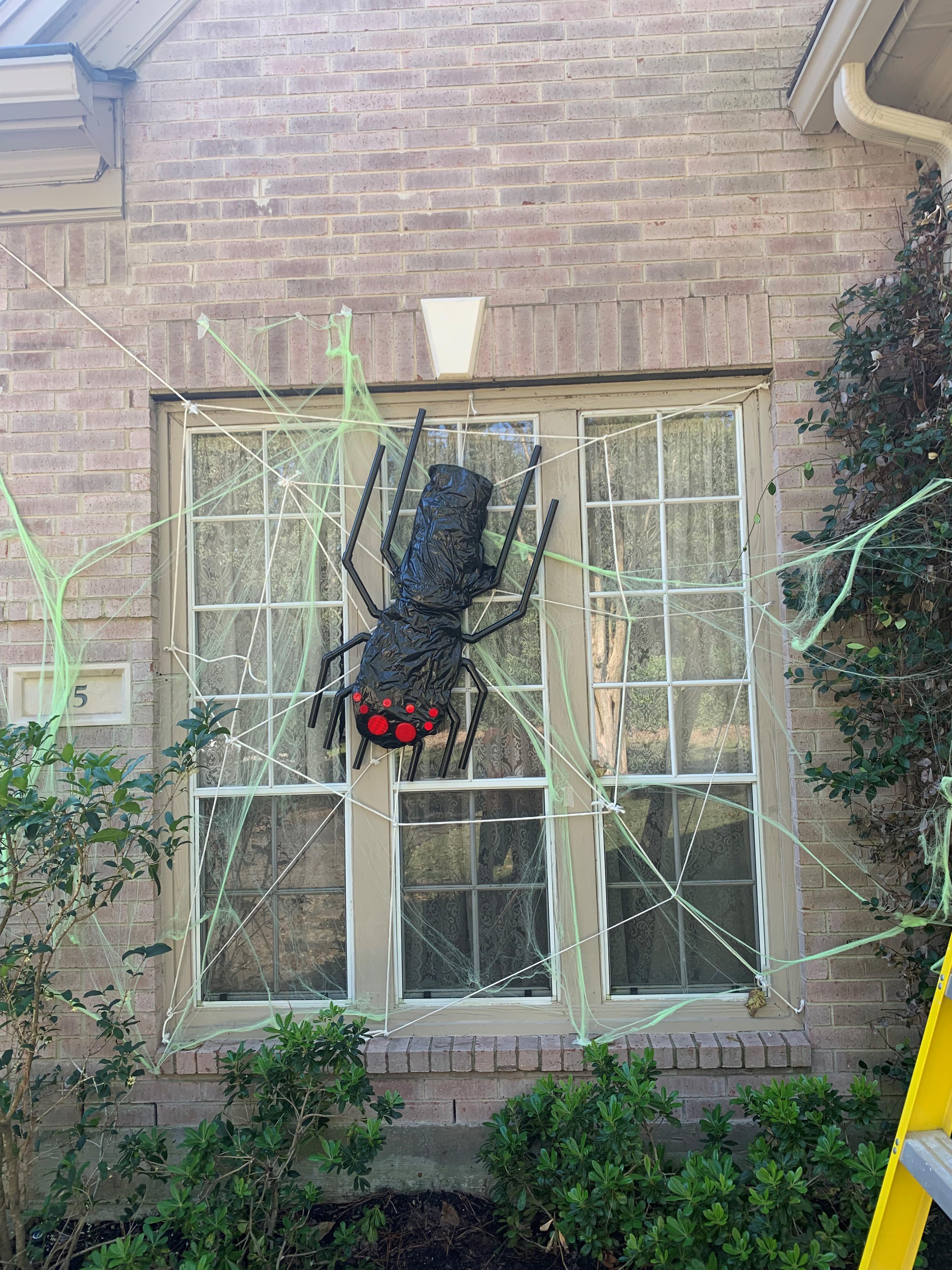 Halloween Spider