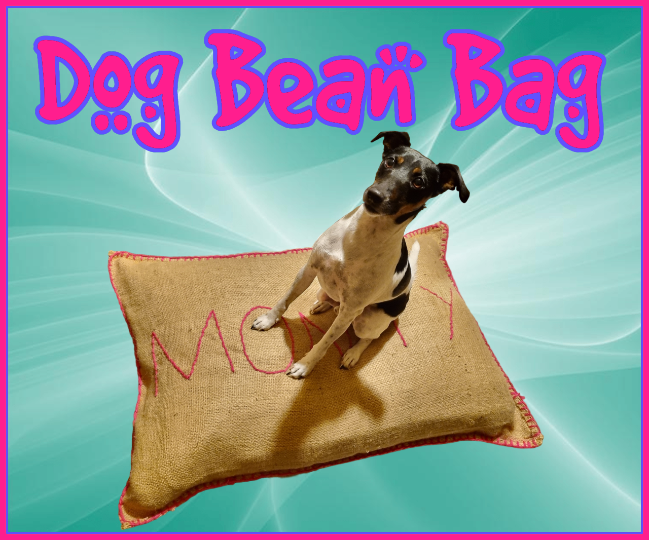 Dog Bean Bag From Recycled Materials