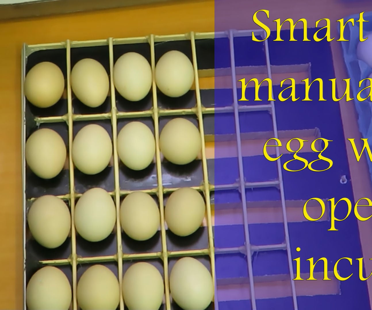  Smart Way to Manually Turn Egg With Out Open the Incubator