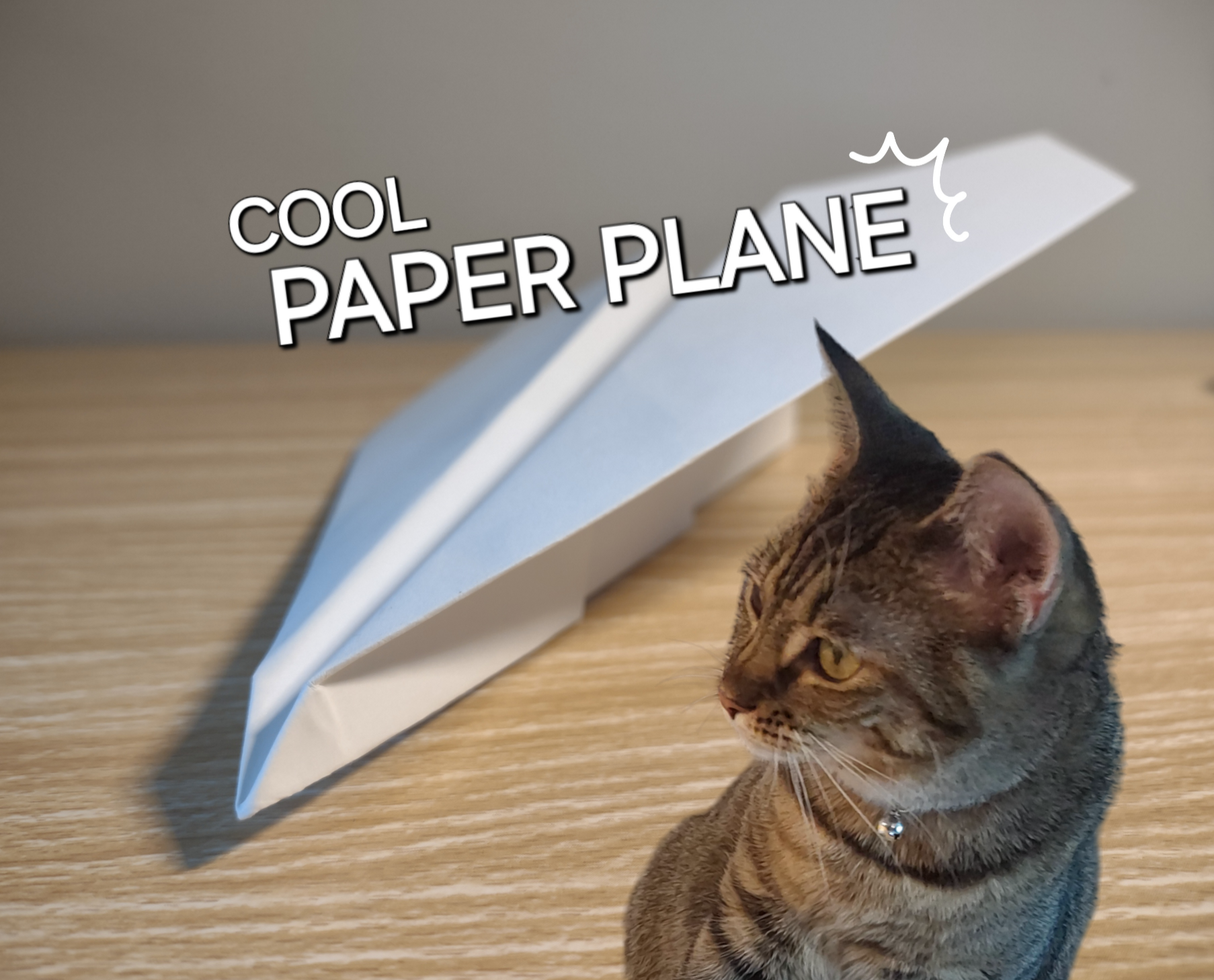 How to Make a Cool Paper Plane