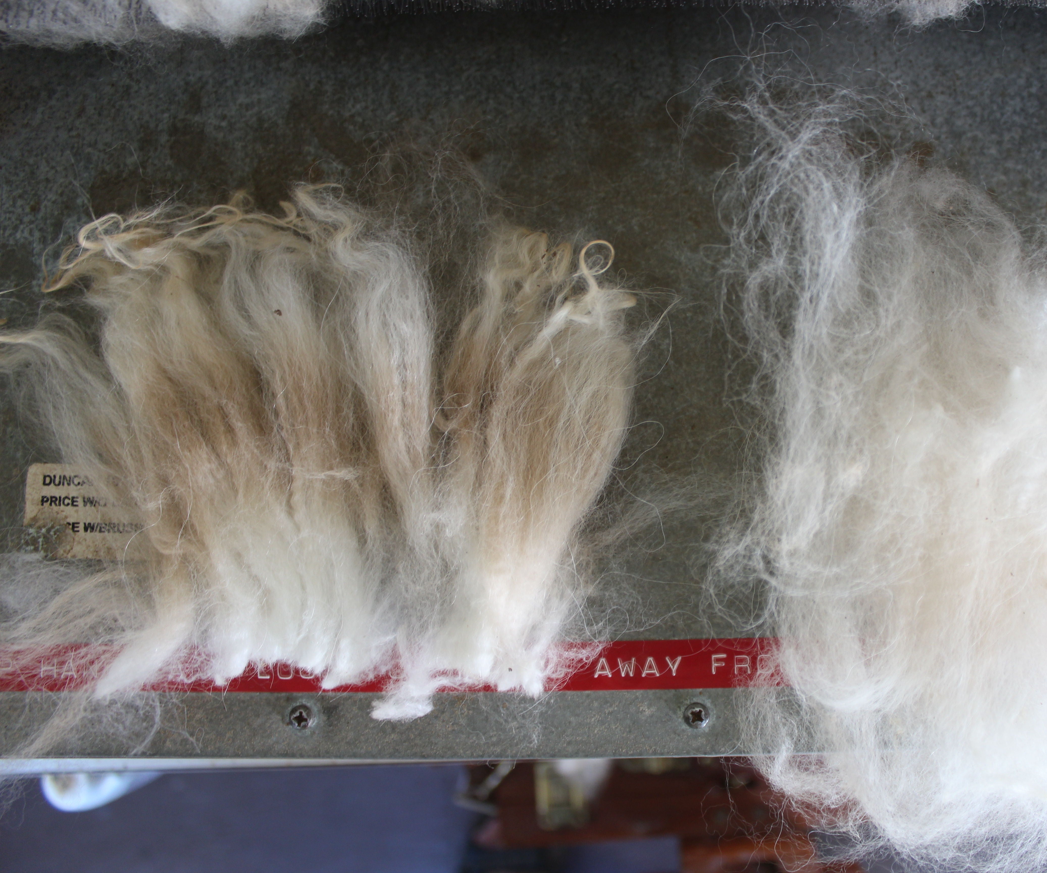 Carding Fiber