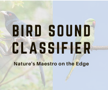 Bird Sound Classifier on the Edge Using Arduino Nano33 BLE Sense