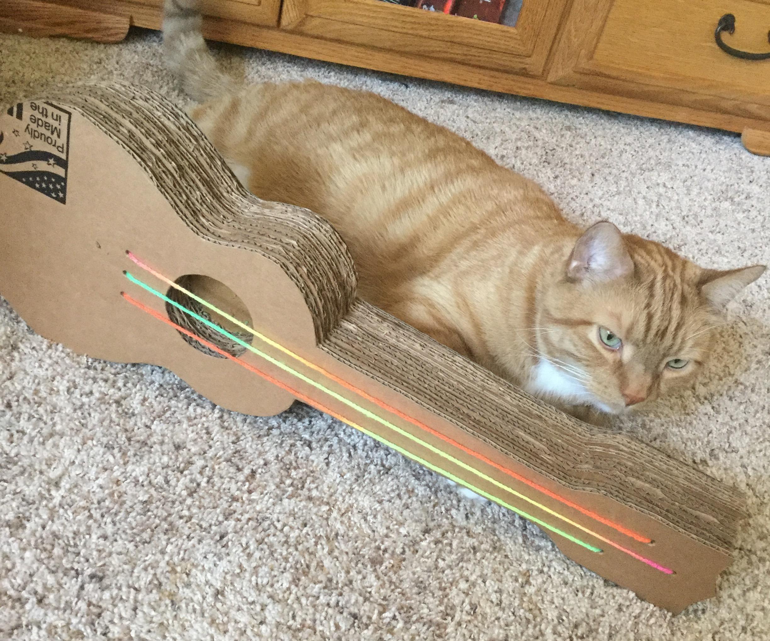 Ukulele Cat Scratcher